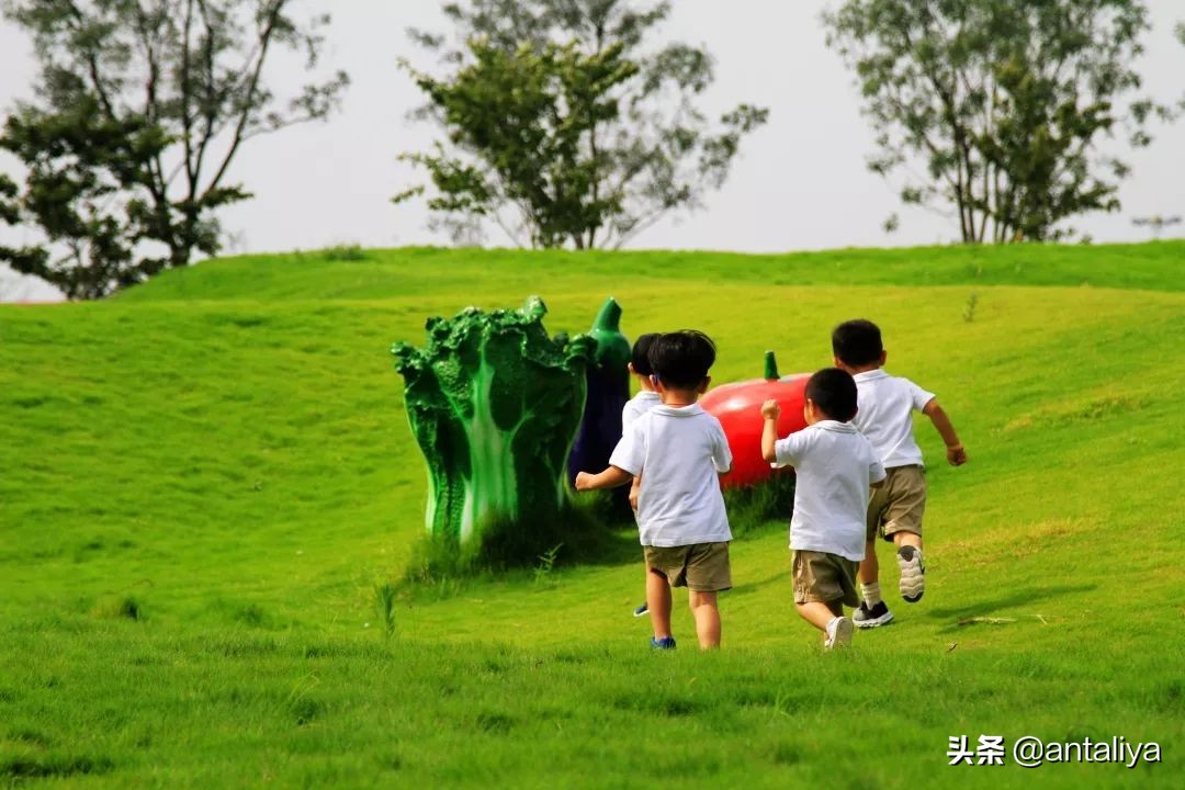 幼儿园入学竞争比 100:1！家长为抢名额连夜排队